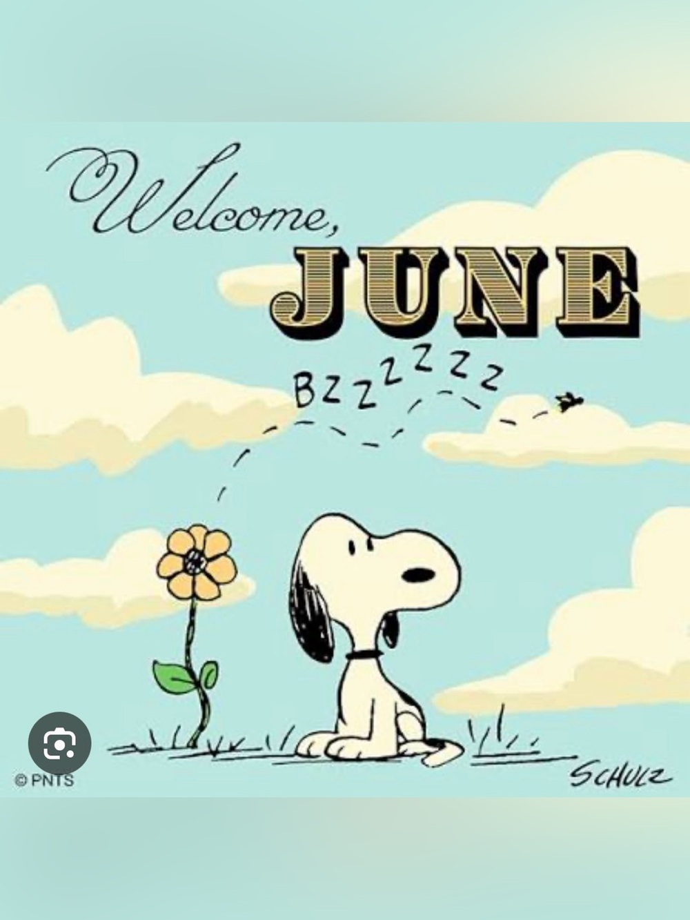 Hello June! CHECK OUT NEW SUMMER SALE